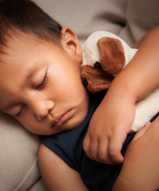 Sleeping child holding a stuffed dog plush